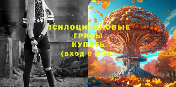 гашиш Бородино
