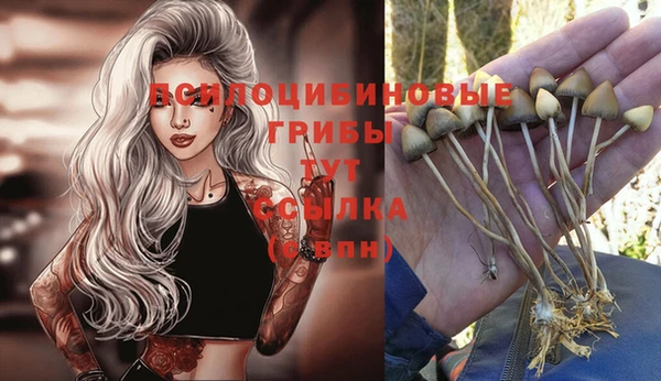 дживик Покачи