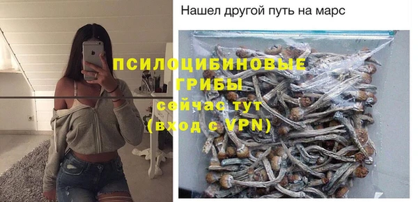 соль ск Бугульма