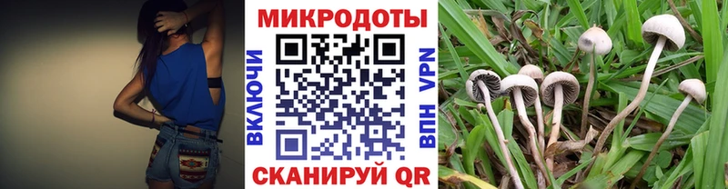 Псилоцибиновые грибы MAGIC MUSHROOMS  Чухлома 